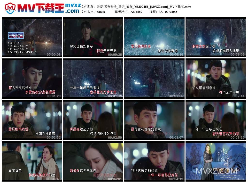天爱-雪夜殇情_国语_流行_YE200455